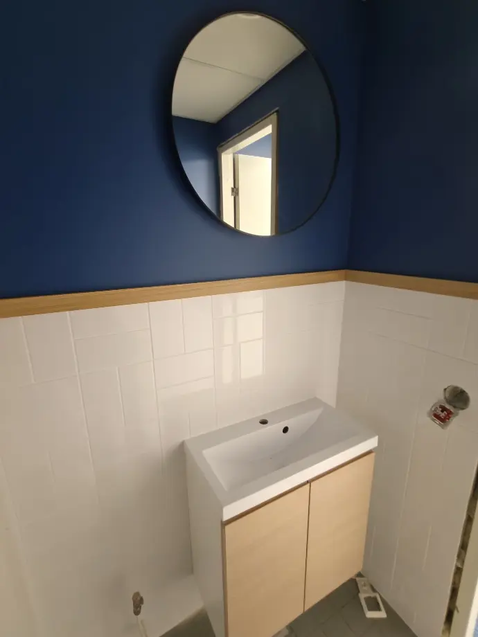 Puuha-Ari ja wc remontti